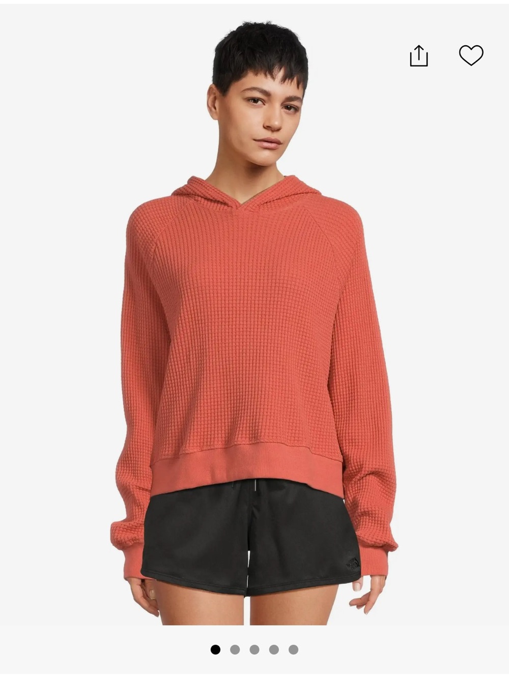 North Face Chabot Hoodie